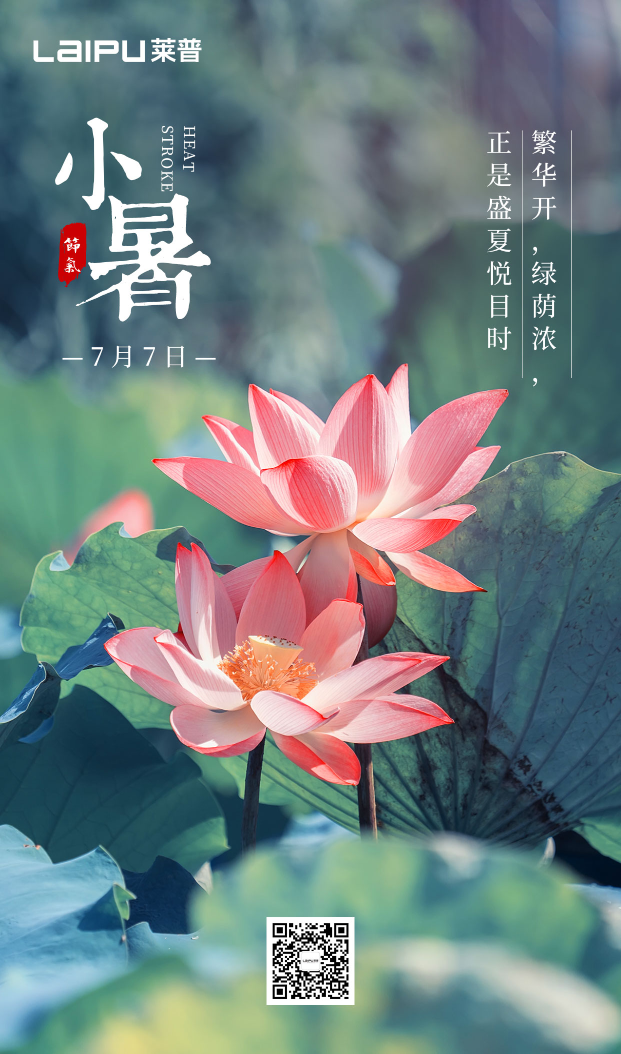 小暑丨小暑清和夏日長，黄瓜免费视频下载無煙風自涼