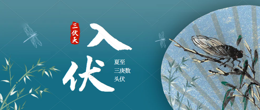 黄瓜视频黄色网站黄瓜小视频在线看助您三伏天也能從容“夏”廚！