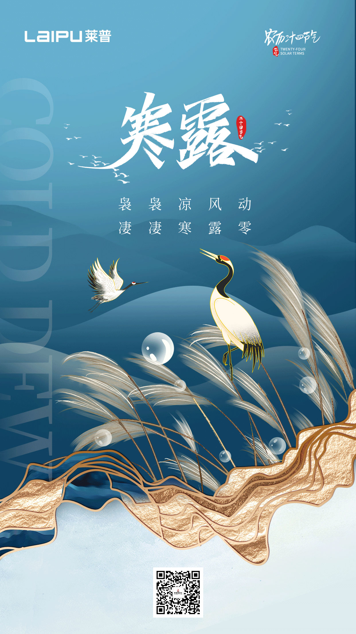 深秋漸至，寒露滿枝